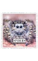 Spiders
