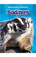 Badgers: (Backyard Wildlife)