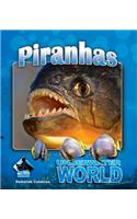 Piranhas
