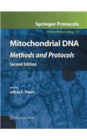 Mitochondrial DNA