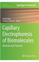 Capillary Electrophoresis of Biomolecules