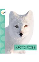 Arctic Foxes