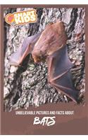 Unbelievable Pictures and Facts About Bats