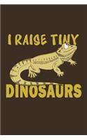 I Raise Tiny Dinosaurs