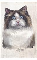Ragdoll Cat Portrait Notebook: Blank Lined Journal for Cat Lovers, Cat Mom, Cat Dad and Pet Owners - 6x9 with College Ruled Pages(13 Watercolor Cat Journals)