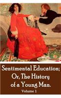 Sentimental Education; Or, The History of a Young Man. Volume 1