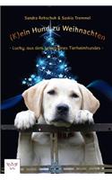 (k)Ein Hund Zu Weihnachten