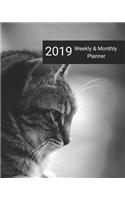 2019 Weekly and Monthly Planner: Cat Daily Organizer -To Do -Calendar in Review/Monthly Calendar -Notes Volume 11