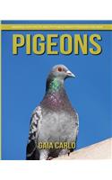 Pigeons