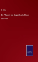 Pflanzen und Raupen Deutschlands