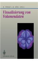 Visualisierung Von Volumendaten