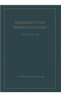 Herz Und Kreislauf