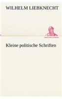 Kleine Politische Schriften