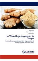 In Vitro Organogenesis in Ginger