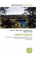 Leyland Cypress: (English)