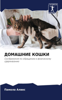 ДОМАШНИЕ КОШКИ