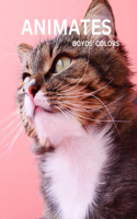Animates Boyds' Colours