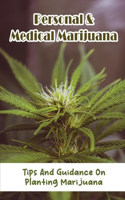 Personal & Medical Marijuana: Tips And Guidance On Planting Marijuana