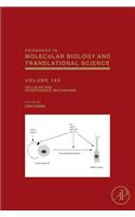 Cellular RNA Interference Mechanisms: Volume 102