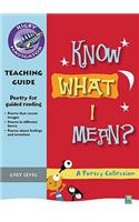 Navigator Poetry: Year 4 Grey Level Know What I Mean Teacher Notes: (NAVIGATOR POETRY & PLAYS)