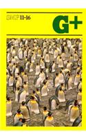 SMP 11-16 Book G+