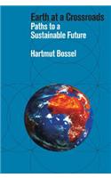 Earth at a Crossroads: Paths to a Sustainable Future(English)