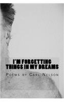 I'm Forgetting Things in My Dreams