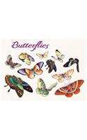 Butterflies Boxed Notecard Assortment