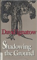 Shadowing the Ground