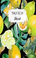 Sketch Book
