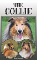 Collie: A Complete and Comprehensive Owners Guide To: Buying, Owning, Health, Grooming, Training, Obedience, Understanding and Caring for Your Collie