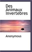 Des Animaux Invertebres