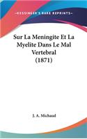 Sur La Meningite Et La Myelite Dans Le Mal Vertebral (1871)