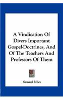 A Vindication Of Divers Important Gospel-Doctrines, And Of The Teachers And Professors Of Them