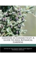Conifers in Connecticut: A Guide to Area Botanical Gardens