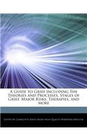A Guide to Grief Including the Theories and Processes, Stages of Grief, Major Risks, Therapies, and More: (English)