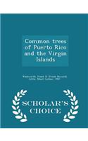 Common Trees of Puerto Rico and the Virgin Islands - Scholar's Choice Edition
