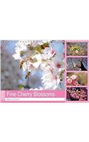 Fine Cherry Blossoms 2018