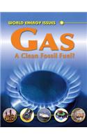 Gas - A Clean Fossil Fuel?
