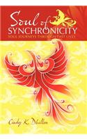 Soul of Synchronicity