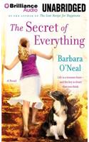 The Secret of Everything