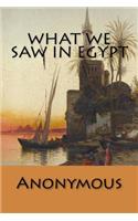 What We Saw in Egypt: (English)