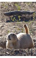 Cute Prairie Dog Journal