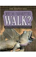 Why Do Mudskippers Walk?