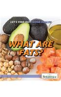 What Are Fats?