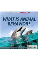 What Is Animal Behavior?