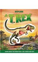 Explore a T. Rex