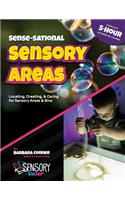 sense-Sational Sensory Areas