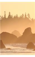 2020 Daily Planner Misty Foggy Sunrise Beach Ocean Shoreline 388 Pages