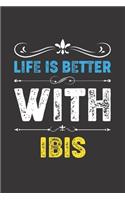 Life Is Better With Ibis